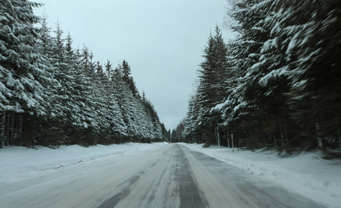 从车上看，白雪覆盖的道路，两边的松树。危险，打滑的驾驶条件..