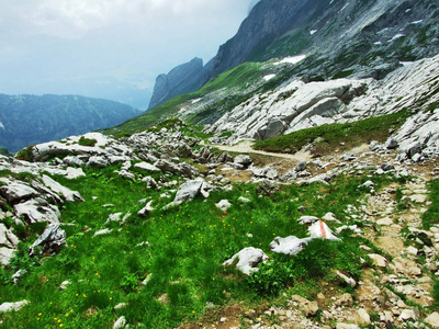 瑞士圣加伦州阿尔泼斯坦山脉的景观和环境