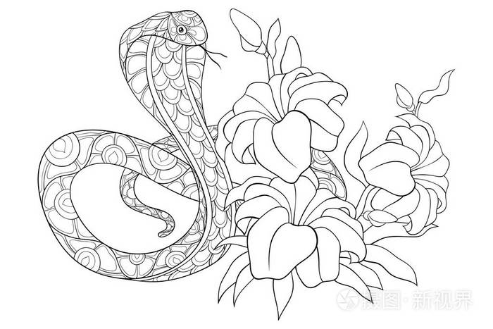 插画 一种可爱的蛇,带有装饰图像,用于放松活动.成人着色书页.