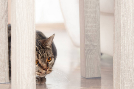 复制空间关闭.照片