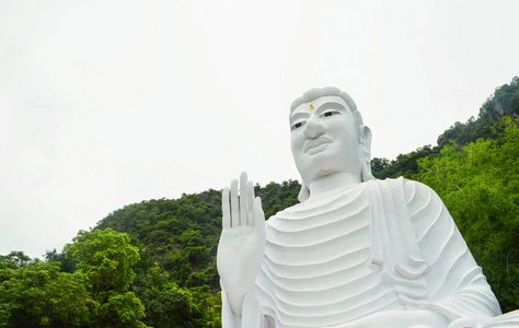 山顶山和树背景上的白佛像大佛像