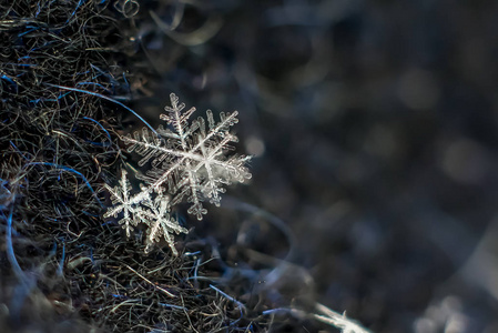 天然雪花宏观冰美的冰冻自然。