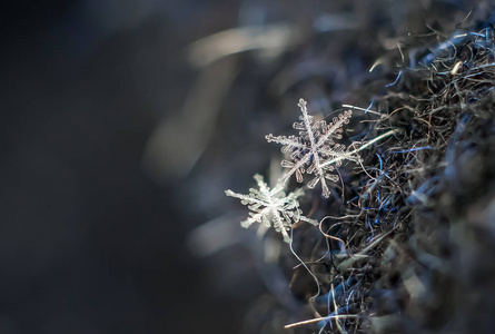 天然雪花宏观冰美的冰冻自然。