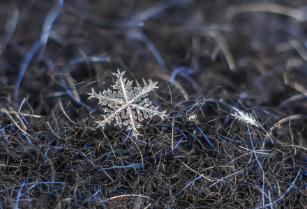 天然雪花宏观冰美的冰冻自然。