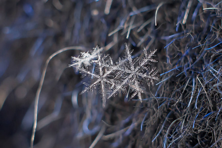 天然雪花宏观冰美的冰冻自然。