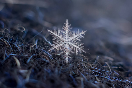 天然雪花宏观冰美的冰冻自然。