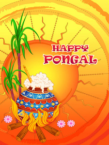 Pongal 宗教传统节日泰米尔纳德邦印度庆祝背景