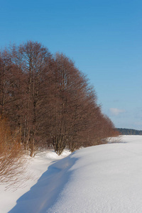 冬季森林边缘的景观