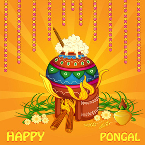 Pongal 宗教传统节日泰米尔纳德邦印度庆祝背景