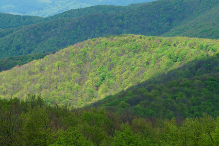 比斯扎迪山。 春天的森林。