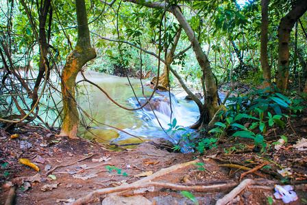 泰国Kanchanaburi森林中的瀑布