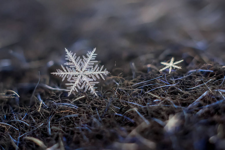 天然雪花宏观冰美的冰冻自然。