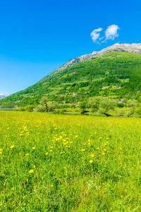 黑山风景如画的山峰之间不寻常的普拉夫湖