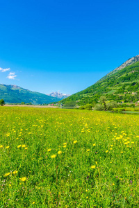 黑山风景如画的山峰之间不寻常的普拉夫湖