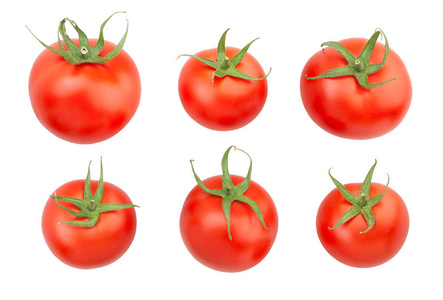 西红柿图案分离在白色背景上