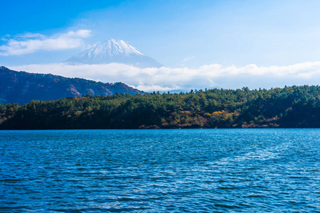 日本秋季环湖枫叶树的富士山美景