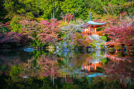 日本京都，秋季，绿树成荫树叶的美丽的寺