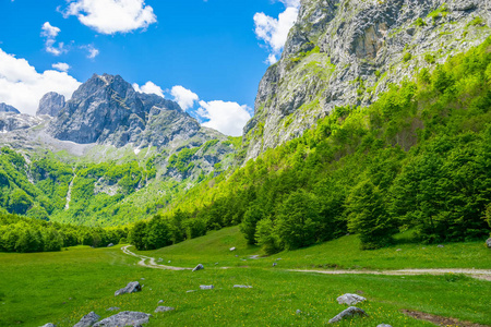 高山之间的草地和森林