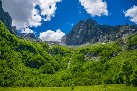 雪山之间的风景林和草地图片