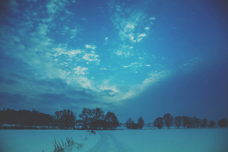 冬天的雪景。傍晚雪场上的一排树