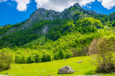 透过高山间如诗如画的平原，观赏土路风景