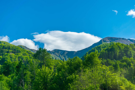 黑山核心的风景秀丽的山脉