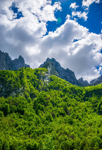 雪山之间的风景林和草地