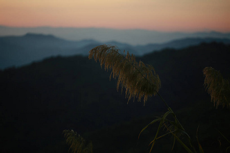 美丽的日落越过山岗景观图片