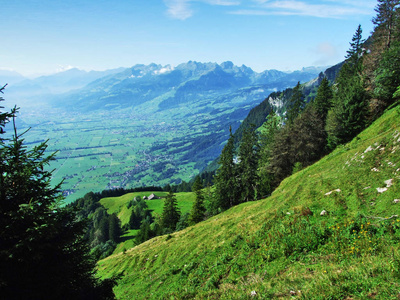 瑞士圣加伦州阿尔普斯坦山脉的莱茵河峡谷景观