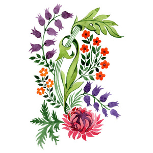 红色和紫色的花卉植物花卉。水彩背景插图集。被隔绝的装饰例证元素