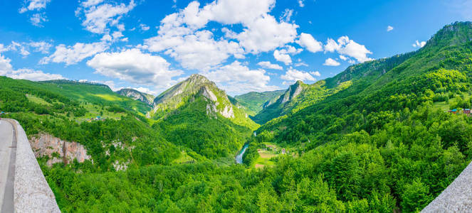 黑山北部杜鲁杰维奇大桥景观开放