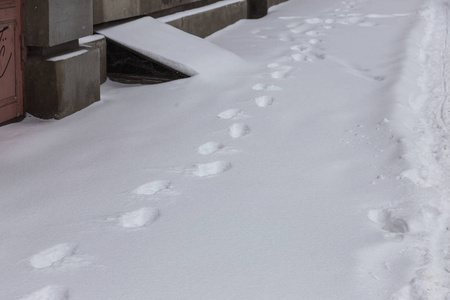 乌克兰敖德萨2018年2月26日冬季街道上的大雪旋风。 汽车上覆盖着雪。 路很滑。 冬季恶劣天气大雪和暴风雪。 行人在雪地里