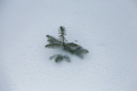 乌克兰敖德萨2018年2月26日冬季街道上的大雪旋风。 汽车上覆盖着雪。 路很滑。 冬季恶劣天气大雪和暴风雪。 行人在雪地里