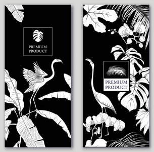 一套两个模板标签的高级产品或卡片邀请横幅与热带植物棕榈叶怪物，兰花和鸟类。 黑白图形。 矢量图。