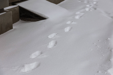 乌克兰敖德萨2018年2月26日冬季街道上的大雪旋风。 汽车上覆盖着雪。 路很滑。 冬季恶劣天气大雪和暴风雪。 行人在雪地里