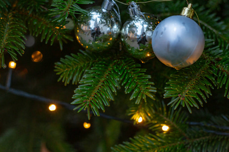 树上有光泽的圣诞球，12月来临月份上市
