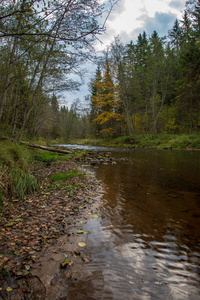 洛基森林阿马塔河，夏季拉脱维亚低流