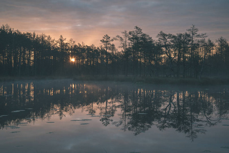 深秋，雾蒙蒙的早晨，笼罩在沼泽湖上