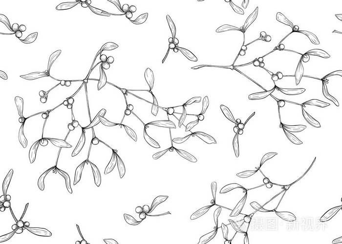 无缝图案背景与槲寄生的分支轮廓手绘矢量插图