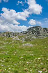 黑山北部国家公园德米特里的高山风景如画