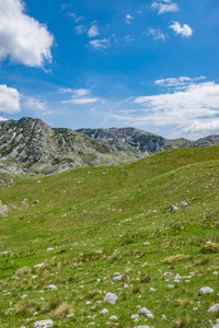 黑山北部国家公园德米特里的高山风景如画
