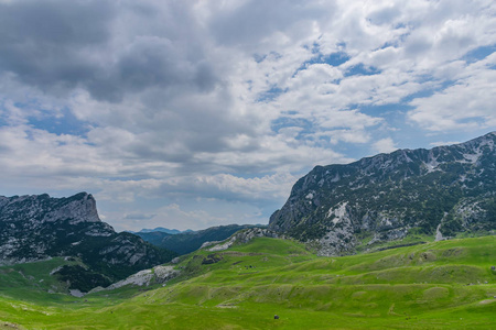 黑山北部国家公园德米特里的高山风景如画
