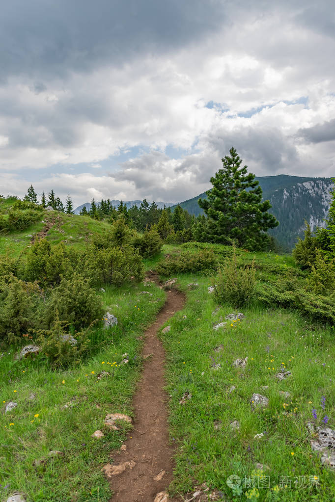 蜿蜒的小径穿过高山之间的森林