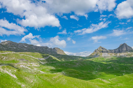 黑山北部山口塞德罗风景名胜区