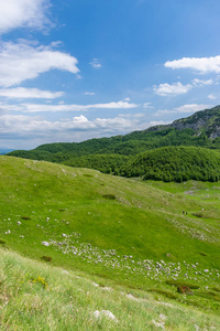 绿色的草地伸展在风景如画的山脉之间