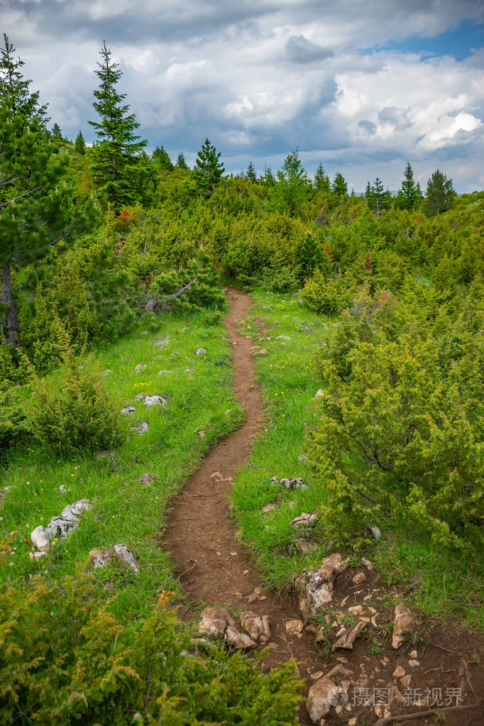 蜿蜒的小径穿过高山之间的森林