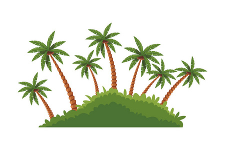 岛屿棕榈树