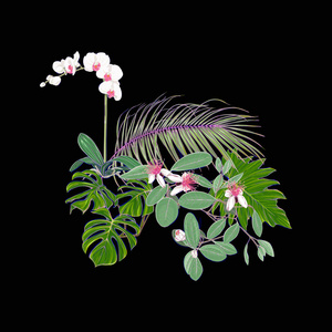 热带植物的组成，棕榈叶怪物和白色兰花，植物风格的彩色矢量插图，霓虹灯荧光颜色。 孤立在黑色背景上。