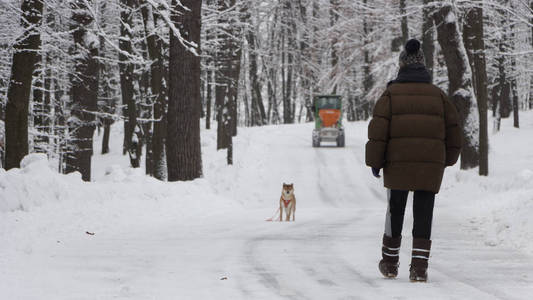 一个人在霜冻的日子走在雪林里