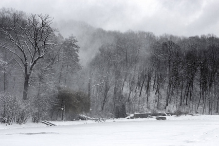森林中的暴风雪一阵强风在山腰冬季的背景下驱动着一根雪柱